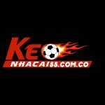 Hà Quốc Trung Trung Profile Picture