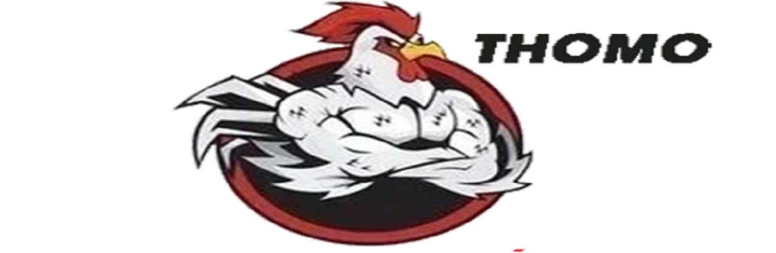 Đá Gà Trực Tiếp Loan Cover Image