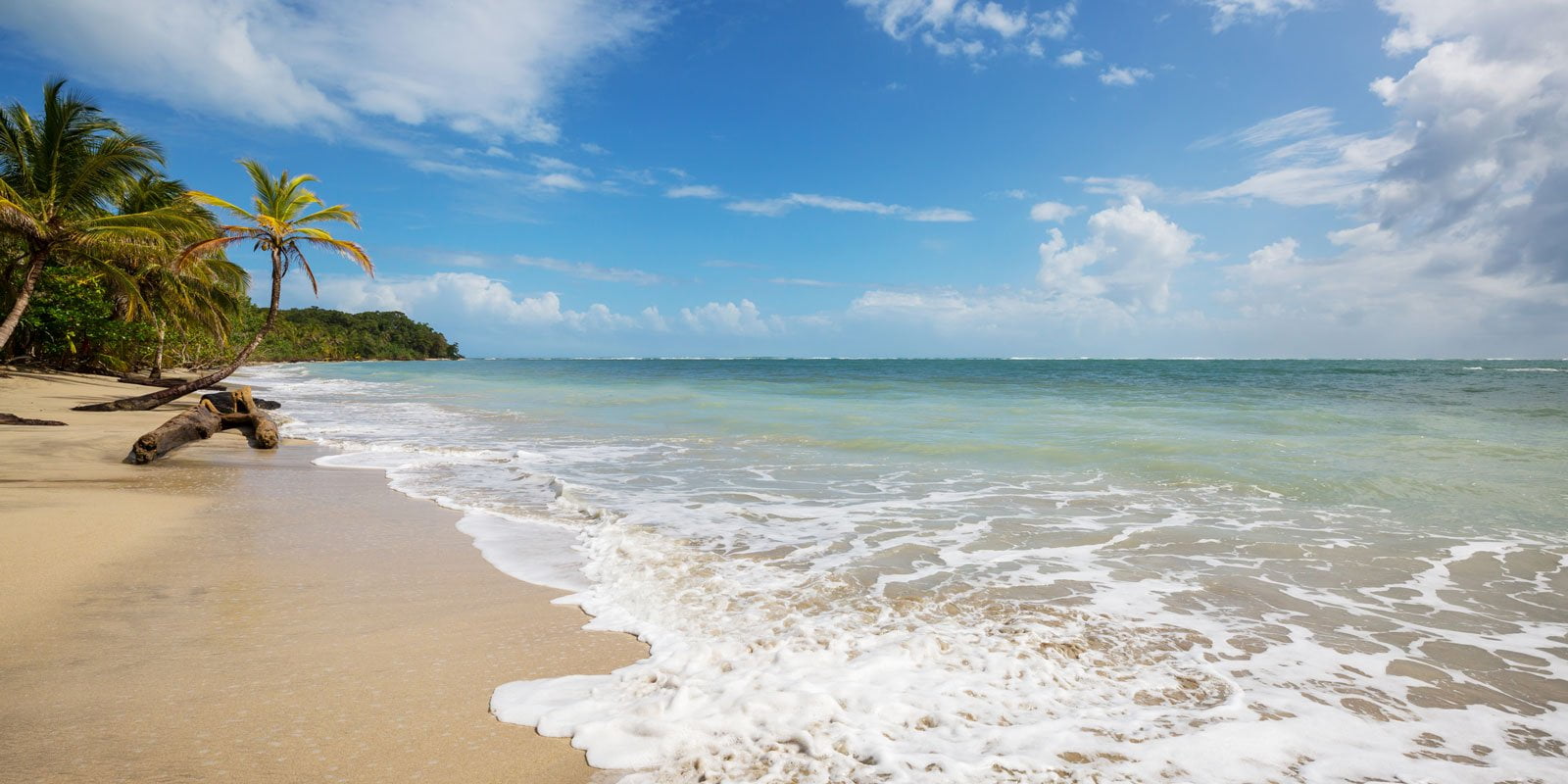 Costa Rica Wedding Packages | Liz Moore Destination Weddings