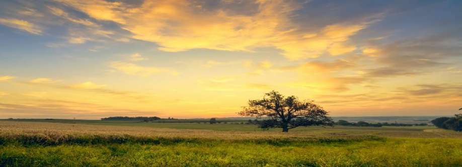 Tom Garvie Mortgage Services Cover Image