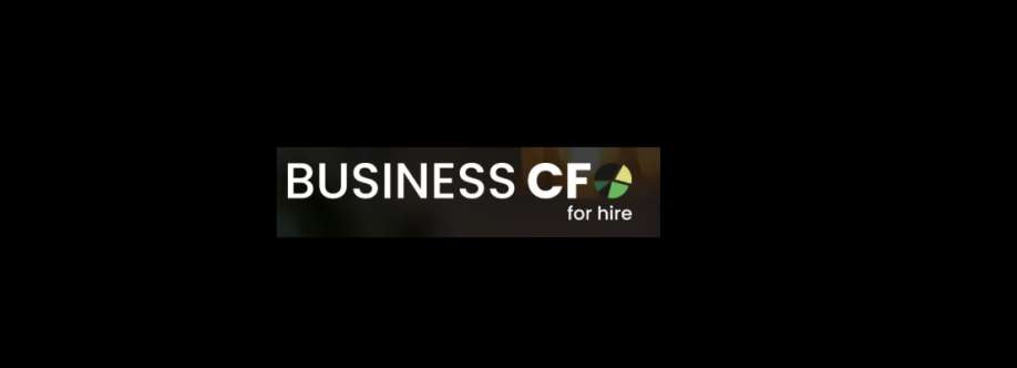 Stan Alhadeff LLC dba Business CFO for Hire Cover Image