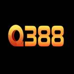Q388 Profile Picture