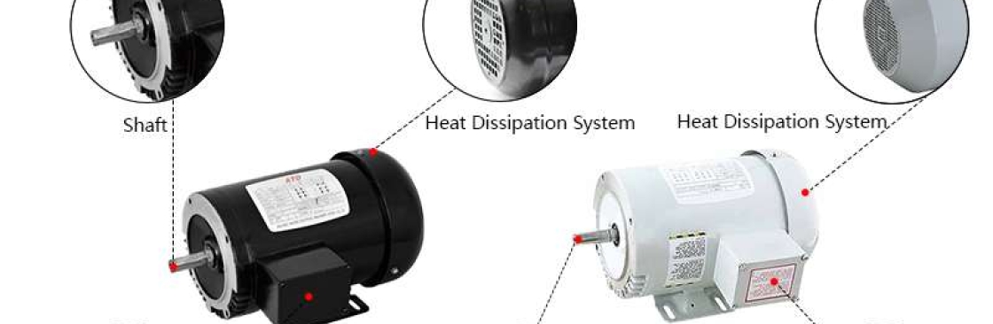 ATO Three Phase Induction Motors Cover Image