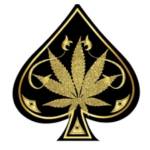 ace ultra premium carts Profile Picture