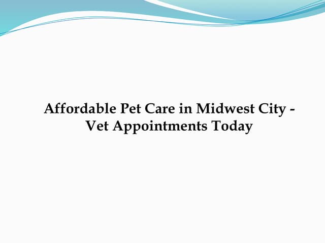 Affordable Pet Care in Midwest City - Vet Appointments Today