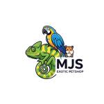 MJS Exotic Profile Picture