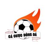 Cacuocbongda38 com mx Profile Picture