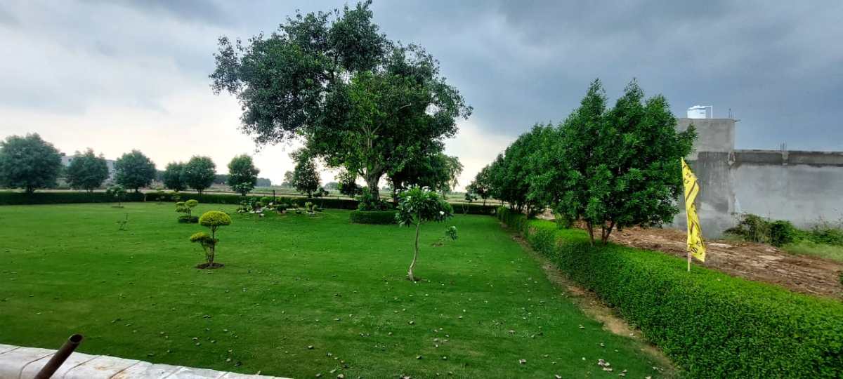 Approved Residential Plot Near Defence Corridor – A Smart & Secure Investment with Maxpine Group – Commercial Plot in Jewar – Bank Loan Available