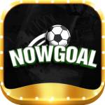nowgoal group Profile Picture