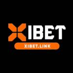 XIBET Cong Ca Profile Picture