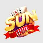 Sunwinse net Profile Picture