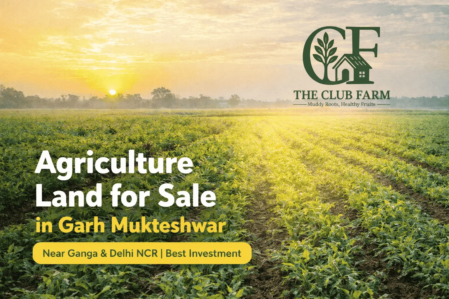 Agriculture Land for Sale in Garh Mukteshwar – Invest in Green Growth with The Club Farm