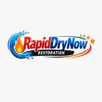 Rapid DryNow Restoration profile picture