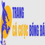 Trang Cá Cược Bóng Đá Profile Picture