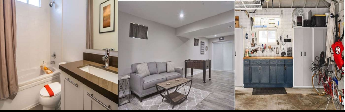 The Mold Genius Cover Image