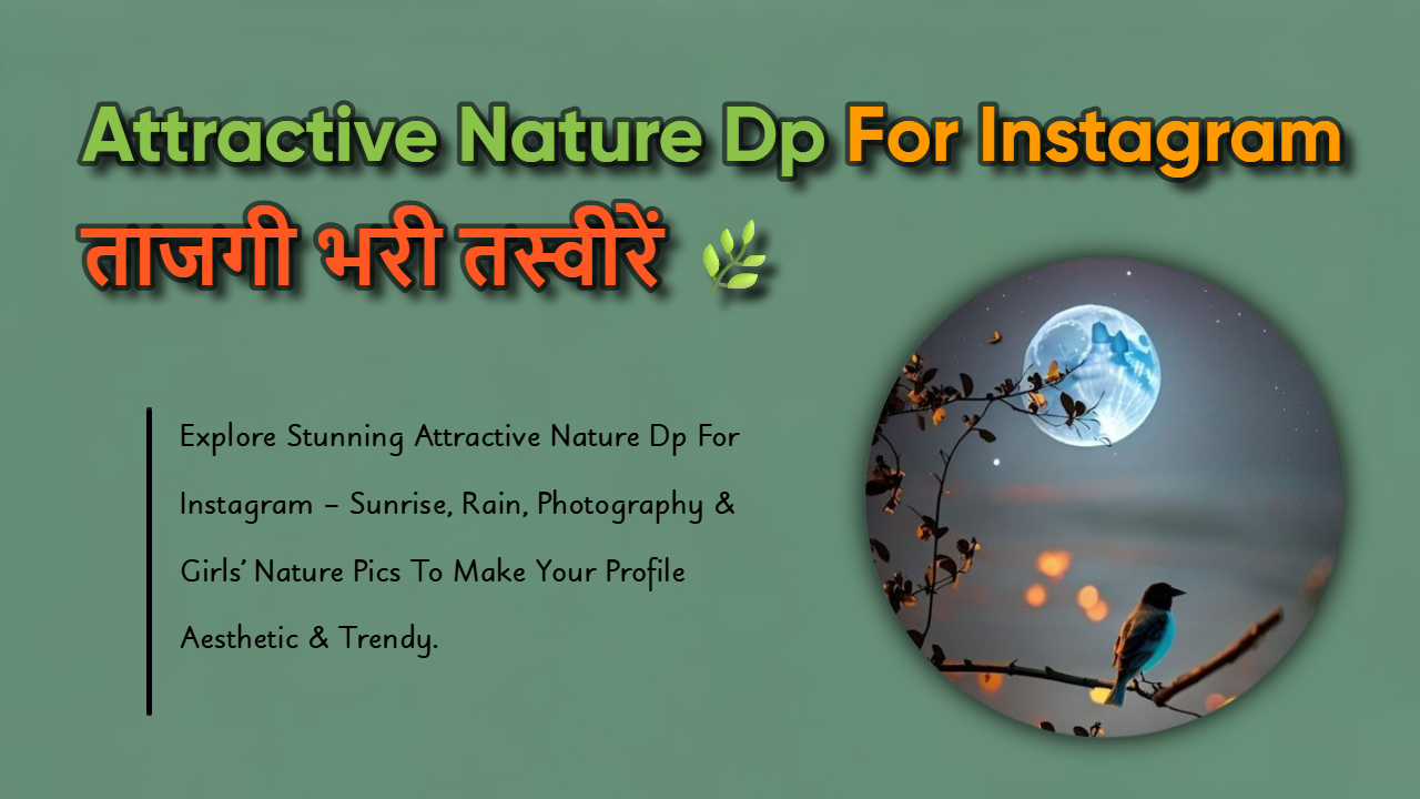 500+ Attractive Nature DP For Instagram: HD Nature Images ⬇️