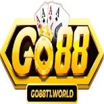 GO 88 Profile Picture