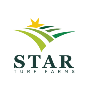Sod Farms in South Florida | High-Quality Turf Provider | Star Turf Farms