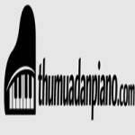 lên dây piano profile picture