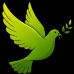 Mind Wellness Profile Picture