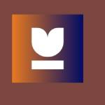 Bloom Network Profile Picture