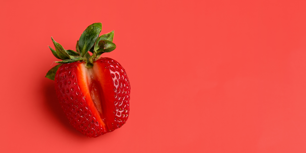 Adult Website Development Company | Bestech