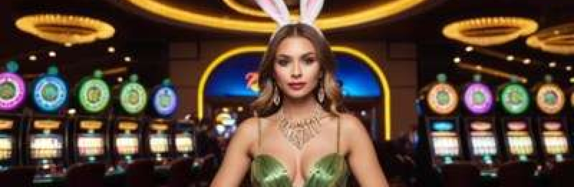 DW325 bet Cover Image