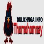 THOMOHOMNAY dulichnga Profile Picture