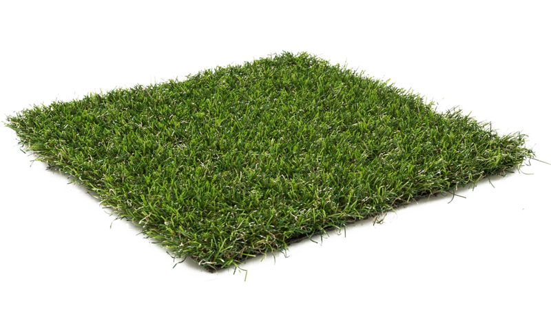 infinity middle east - Infinity Middle East