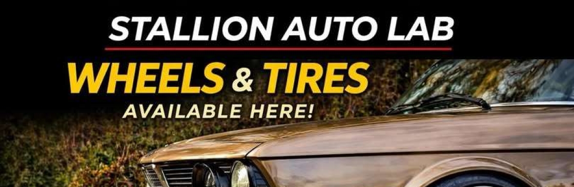 Stallion Auto Lab Cover Image