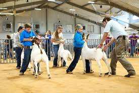 levelphoto levelphoto Profile Picture