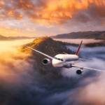 Sage Rock Profile Picture