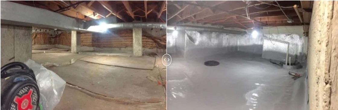 Crawl Spaces Cover Image