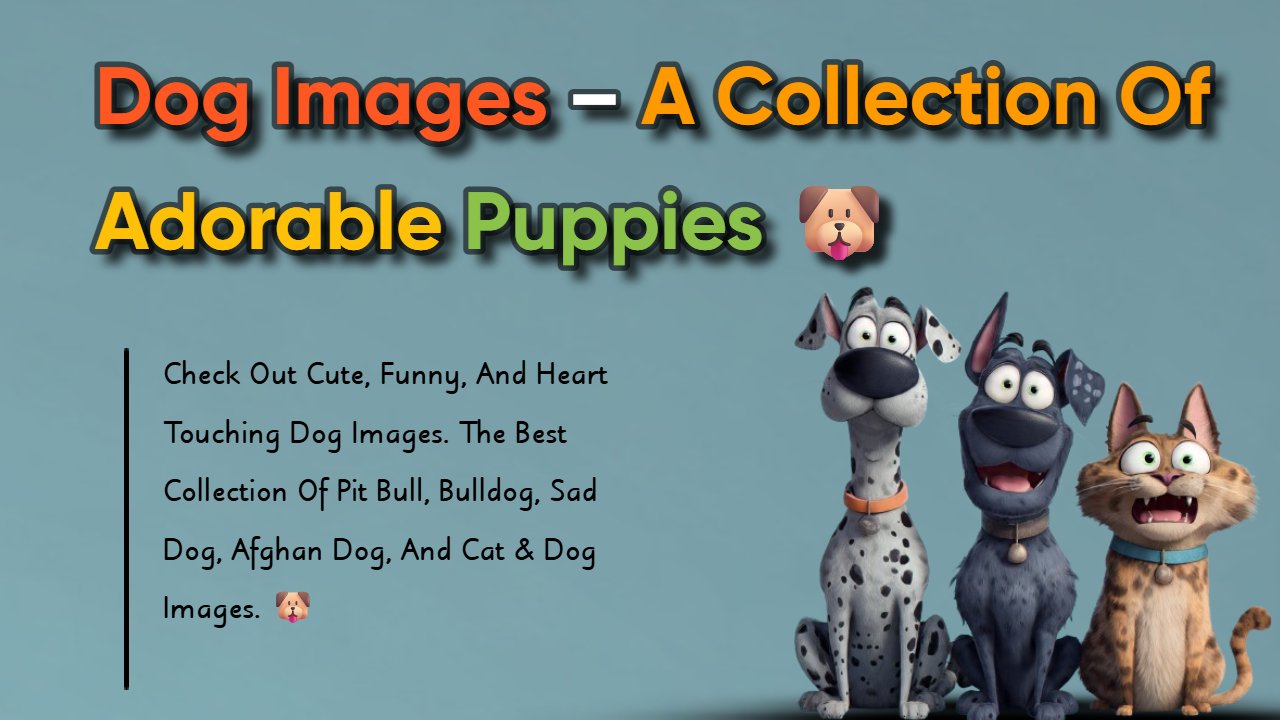 599+ Dog Images: Funny & Lovable Dog Photos (HD Download)