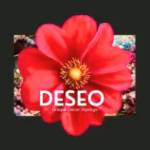 Ddeseo atl Profile Picture