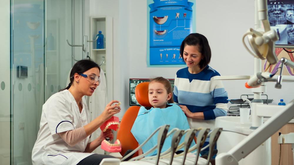 What services do pediatric dentists in Saskatoon typically offer? – Vibe Writes