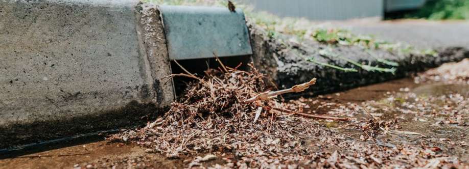 SEQ Blocked Drains Cover Image