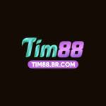 tim88 brcom Profile Picture