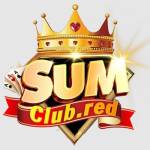 Sumclub profile picture