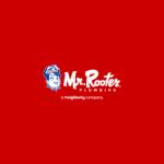 Mr Rooter Plumbing of Dallas Profile Picture