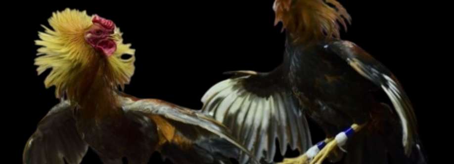 GACAM888 Cover Image