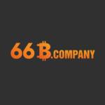 66B company Profile Picture