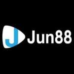 Jun 881 Profile Picture