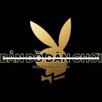 Bản Đồ Dân Chơi Profile Picture