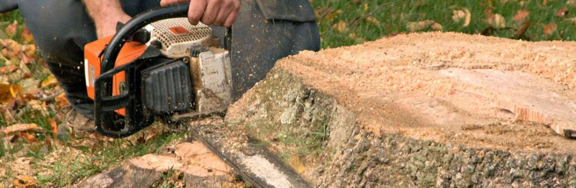 True Gen Tree Service Cover Image