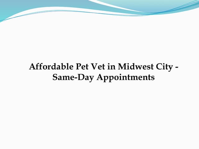 Affordable Pet Vet in Midwest City - Same-Day Appointments