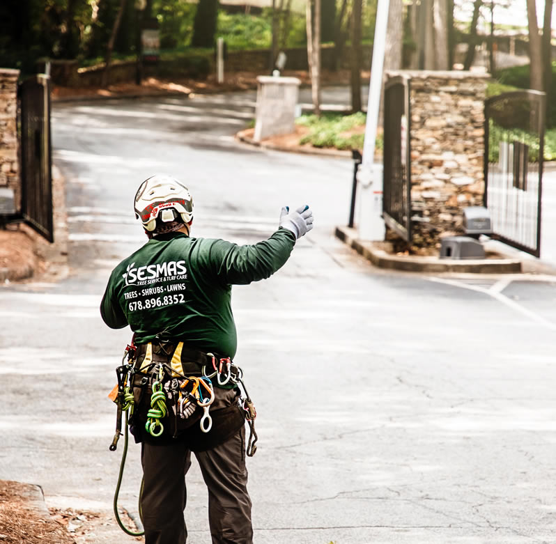 Trusted Tree Removal Service in Cumming, GA | Sesmas Tree Service