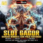 sms808 Profile Picture