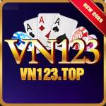 vn123 top Profile Picture