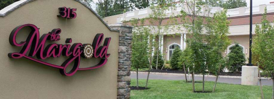 The Marigold Cover Image